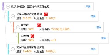 武汉市中亚产品营销有限责任公司综合信息概览 工商信息、信用报告、财务报表及联系方式